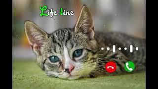 cute baby ringtone new notification tone message ringtone SMS tone Love Ringtone download Now