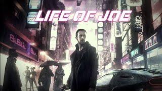 Life of Joe (Resonance)