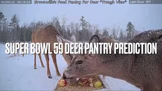 Super Bowl 59 Deer Pantry Prediction