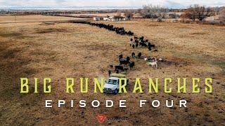 Big Run Ranches - Episode Four