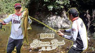 Stream fishing with Rapala Stream Rush