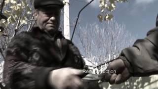 Forced Labour - Trailer
