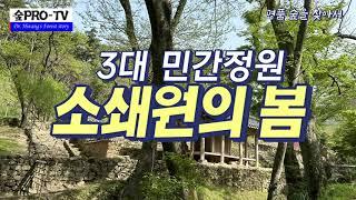 3대 민간정원 "소쇄원의 봄", 숲프로 TV