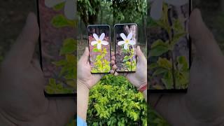 Realme 12 Plus vs Vivo Y200e 5x Optical Zoom Test  #shorts #realme12plus #vivoy200e #realme #vivo