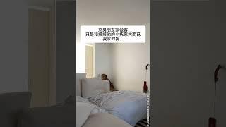 不爱了是吧我家萌宠 治愈小狗 我的萌宠萌宠出道计划精神抚慰犬@DOU+小助手