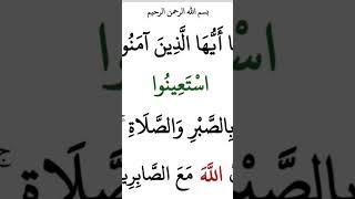 How to learn Quran with Tajweed at home ( Beautiful Recitation Holy Quran #tilawat #quran