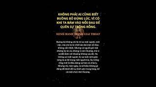 |Hành Trình Giải Thoát #shorts #shortsvideo #hành trình giải thoát #hành trình tâm linh