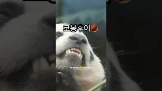 코만 보인단 말이야~~~~