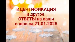 Идентификация и другое.Ответы на вопросы 21.01.2025.И давайте проведем стрим -ответов на вопросы?