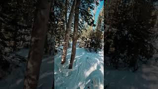 Awesome beginner trees off Olympia Lift @ Winter Park #skiing #winterpark #ikonpass #tipsandtricks