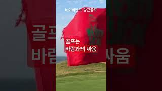 골프는 바람과의 싸움~ 여기서 한판 라운드!!! #대련골프 #장흥도cc