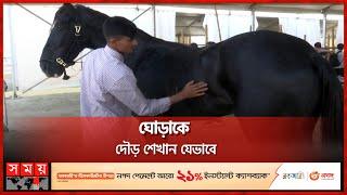 ১৫ বছর ধরে ঘোড়া পালন করেন সিলেটের রাজু | Sylhet's Raju Handling a Rearing Horse | Somoy TV