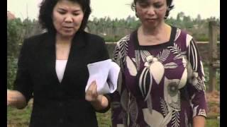 Cau chuyen dau tu-Nguoi phu nu dam that bai-Dai THVN-2.flv