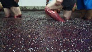 Making Port Wine in Portugal's Douro Valley