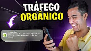 Dropshipping | Tráfego Orgânico vale a pena para minha Loja?