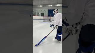 GOALIE SNIPE 