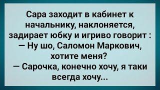 Задрала Юбку Перед Начальником и Соблазнила! Сборник Свежих Анекдотов! Юмор!