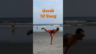 Beach Animal Qi Gong #qigong #taichi #exercise #fitness #shorts