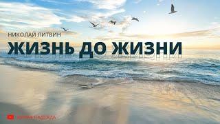 Жизнь до жизни (Николай Литвин)