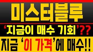 [미스터블루 매매전략] 종가 매수 후 눌려도 OK! 반등 타점 다 잡았습니다 [매집포착]