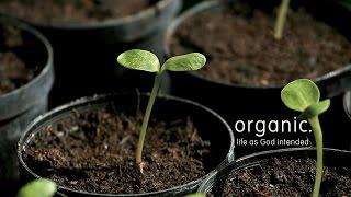 David Welsh | "Organic" Series, Week 1 | 01 10 2016