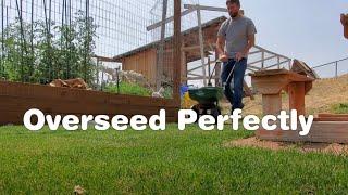Flawless Lawn Overseed // Get Yours Right On The 1st Try