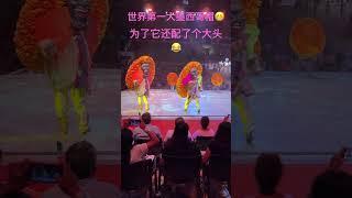 世界第一大墨西哥帽w为了它还配了个大头