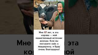 Мне 87 лет, и эта корова — мой единственный источник дохода. Если вы поставите лайк в поддержку…