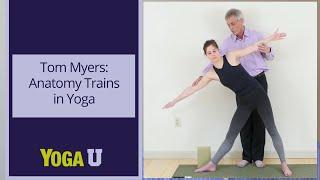 Tom Myers: The Art of Body Reading in Yoga