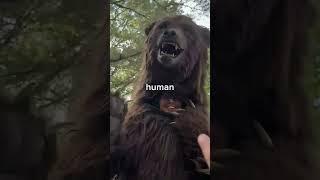 spot the fake animal for $10000 #animals #shortfeed #viral #challenge #youtubeshortviral #mrbeast