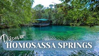 Meet Unique Wildlife at Homosassa Springs Wildlife Park!