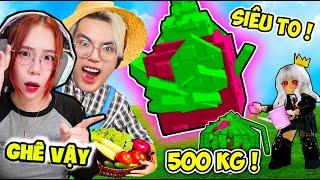 PHONG CẬN BẤT NGỜ KHI SAMMY TRỒN ĐƯỢC QUẢ THANH LONG 500 KG TO NHẤT TRONG GROW A GARDEN