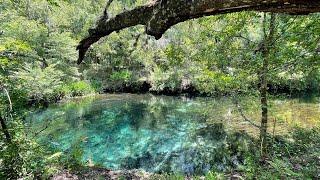 Top Florida State Parks | Ichetucknee Springs State Park