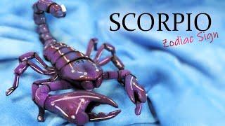 Making The Zodiac Sign SCORPIO || Poseable Art Doll Tutorial