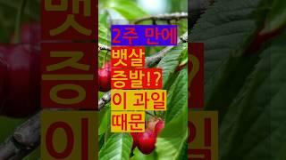 2주만에 뱃살 증발! 이 과일 때문