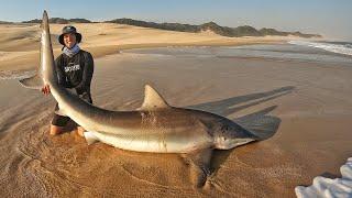 Solo fishing in South Africa (Catching Sharks and Making New Friends!)