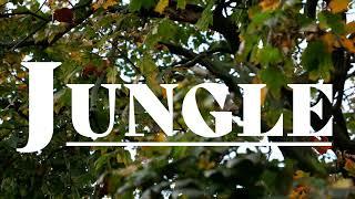 Jungle (A Documentary in Prospect Park)