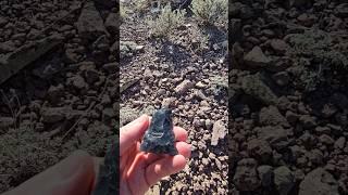 Prehistoric Artifacts In The High Desert - Obsidian Points/ One With Fluting Down Center