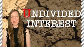 Undivided INTEREST: 5 Things You Should Know