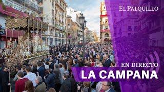  SÁBADO SANTO EN SEVILLA 2024 | LA CAMPANA EN DIRECTO