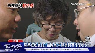 辭職選中央委員! 蔡壁如:已和盧秀燕當面溝通｜TVBS新聞 @TVBSNEWS02