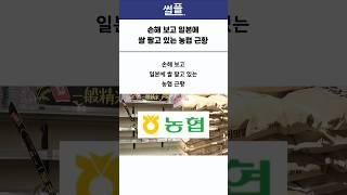 일본에 손해 보고 쌀 팔고 있는 농협 근황