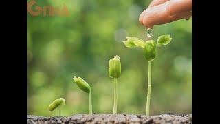 [GNhà] - Giá Trị Kinh Nghiệm Sống