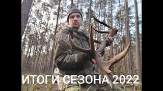 Итоги сезона 2022, поиск рогов, zrzuty jeleni 2022, Poroża, deer antlers 2022, abwurfstangen