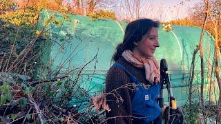 Winter Allotment Tidy Up Vlog / Homegrown Garden