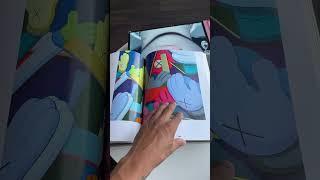 KAWS Visual Inspiration