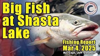 Brown Trout at Shasta Lake - Jeff Goodwin Fishing Report, March 4th, 2025