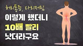 10배 빨리 허리통증 없애는 방법 | 신전운동 제대로 알고 하자