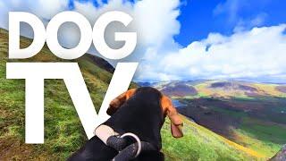 GoPro DogTV | 5hrs Of Breathtaking Virtual Mountain Dog Walks ️ Dog Point-Of-View