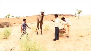 Takada karna pada bhari viru rajera and tejaram ki suparhit comedy rajsthan village life